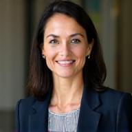 Dr. Aris Thorne, Chief Strategist